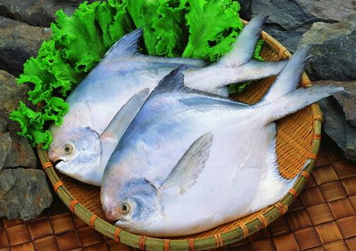 紅燒鯧魚(yú)的做法-清蒸鯧魚(yú)的做法