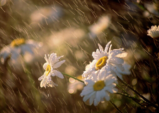 梅雨季節(jié)是什么時(shí)候？梅雨季節(jié)吃什么