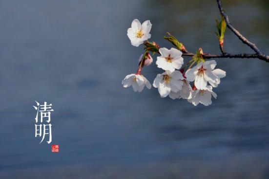 清明是什么時候？二十四節(jié)氣之清明的由來與含義