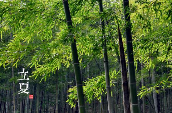 立夏是什么時候？二十四節(jié)氣之立夏的由來與含義
