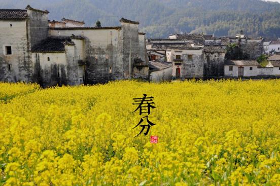 春分是什么時(shí)候？二十四節(jié)氣之春分的由來與含義