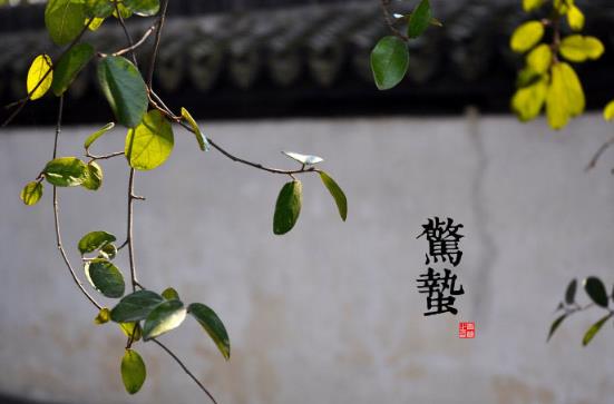 驚蟄是什么時候？二十四節(jié)氣之驚蟄的由來與含義