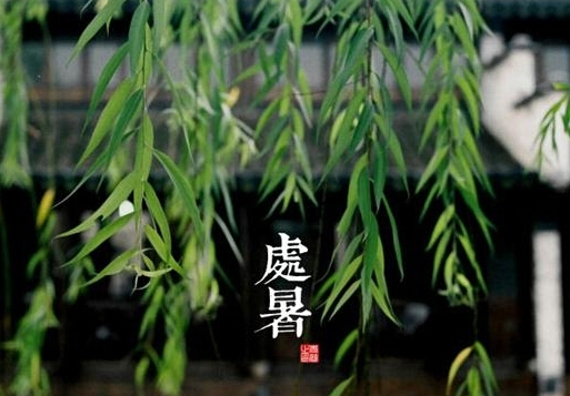 處暑是什么意思？處暑養(yǎng)生注意事項