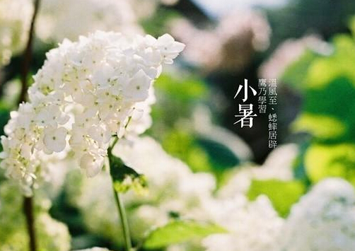 小暑什么意思？小暑怎么預(yù)防中暑