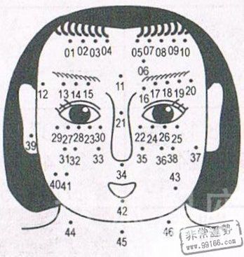 痣相圖解大全，女人痣相圖解，女人面部痣相圖解