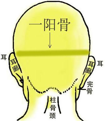 骨相圖解：一陽(yáng)骨