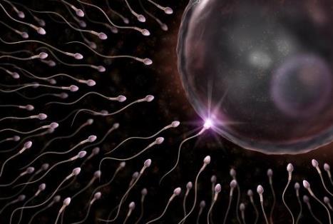 精子成活率低怎么辦？精子成活率低吃什么食物好
