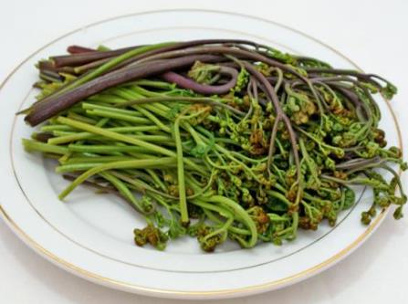 孕婦吃蕨菜有什么好處？孕婦吃蕨菜的做法
