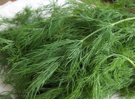 最高鈉蔬菜：茴香、芹菜、茼蒿，不用放鹽。