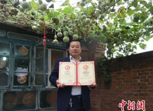 河北唐山一株葫蘆秧生421個葫蘆娃創(chuàng)世界紀錄