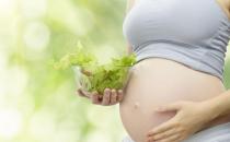 孕婦吃什么好？孕婦飲食能影響孩子壽命？