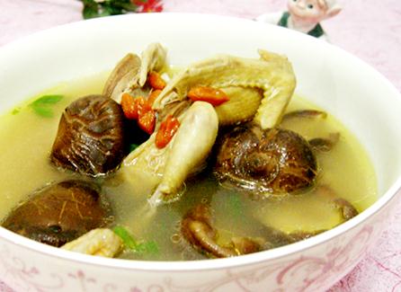 坐月子能吃鴿子肉嗎？坐月子可以吃鴿子嗎