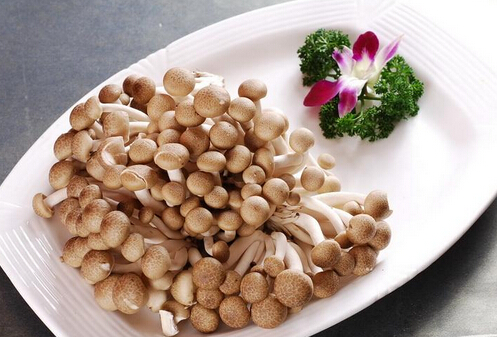 寶寶能吃蟹味菇嗎？怎樣吃蟹味菇才安全