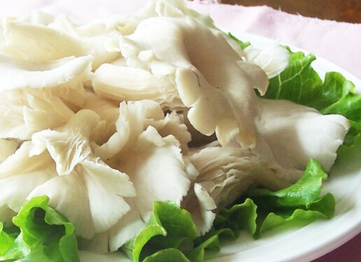 寶寶可以吃平菇嗎？寶寶吃平菇的做法
