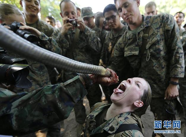 2013“金色眼鏡蛇”聯(lián)合軍演演習，美軍士兵生吃眼鏡蛇血組圖