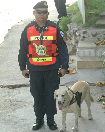 泰國警方為加強(qiáng)攻擊力給警犬配槍，警犬專用手槍肩套(組圖)