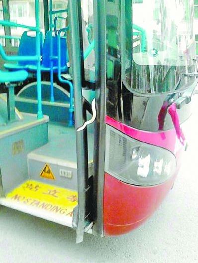 武漢公交車行駛途中驚現(xiàn)1米長毒蛇嚇壞乘客，民警捉走毒蛇并放生