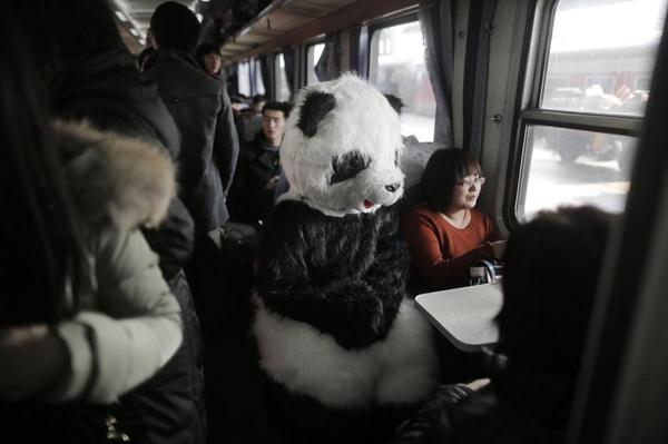 行為藝術(shù)？旅客穿熊貓玩偶服扮成大熊貓?bào)w驗(yàn)春運(yùn)遭圍觀