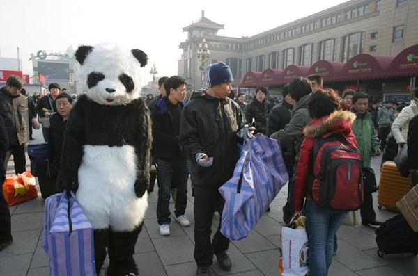 行為藝術(shù)？旅客穿熊貓玩偶服扮成大熊貓?bào)w驗(yàn)春運(yùn)遭圍觀