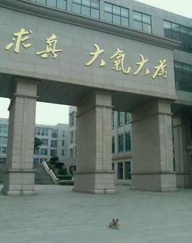 “學(xué)霸狗”電子科技大學(xué)蹭課走紅，最愛(ài)英語(yǔ)和概率網(wǎng)友力挺讀研