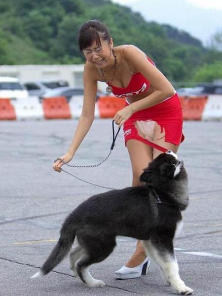邪惡內(nèi)涵圖~超短裙美女花容失色啊，我想知道結(jié)局如何