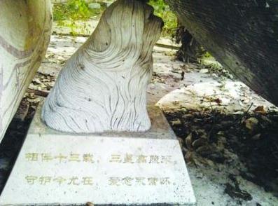 網(wǎng)曝紫金山麓現(xiàn)史上最貴“天價”狗墓，官方回應：狗墓系雕像遭業(yè)主曲解