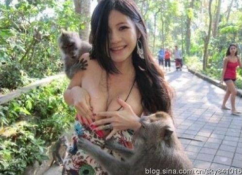 盤點(diǎn)胸前被“扒光”事件：喂奶姐、猴抓妹、張柏芝照片