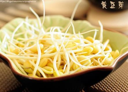 孕婦能吃黃豆芽嗎？孕婦吃黃豆芽的做法