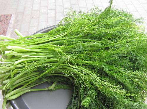 孕婦能吃茴香嗎？孕婦吃調(diào)味品的注意事項(xiàng)