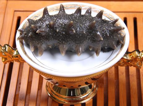 孕婦能吃海參嗎？孕婦吃海參的家常做法