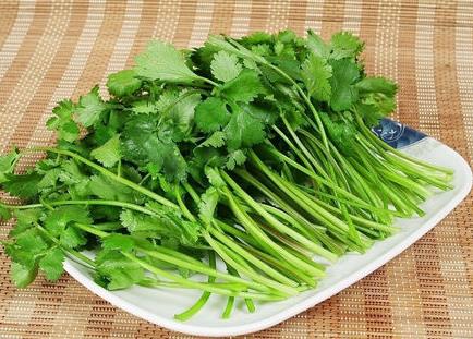 孕婦能不能吃香菜？孕婦可以吃香菜嗎