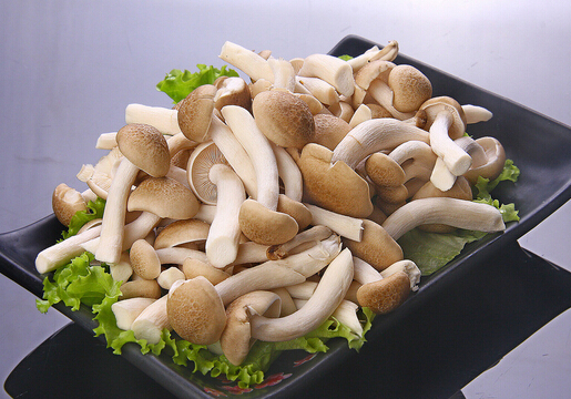 產(chǎn)婦可以吃蟹味菇嗎？產(chǎn)婦吃蟹味菇的禁忌