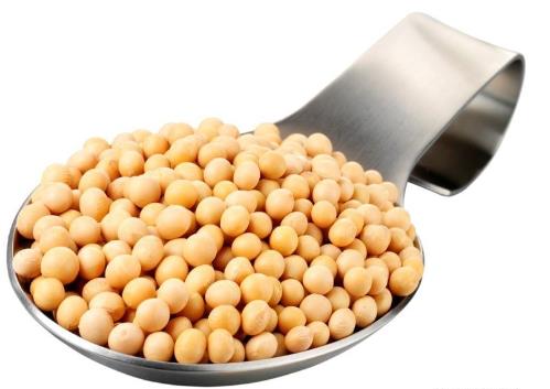 哺乳期能吃黃豆？哺乳期吃黃豆的做法