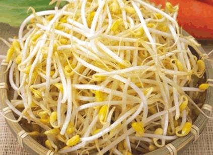 哺乳期吃黃豆芽有什么好處？哺乳期吃黃豆芽的做法
