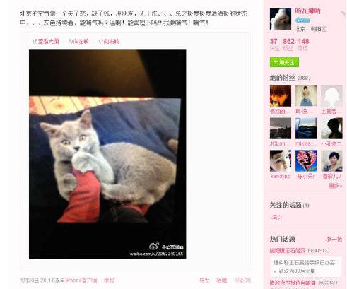 王石新歡田樸珺微博曝光，二人巴西吃烤肉，微博曬同一只貓