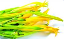 孕婦能吃黃花菜嗎？魚腥草對孕婦好嗎？