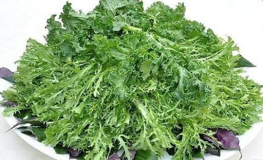 野菜可以吃嗎？孕婦吃野菜有什么好處？