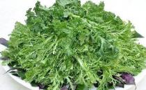 野菜可以吃嗎？孕婦吃野菜有什么好處？