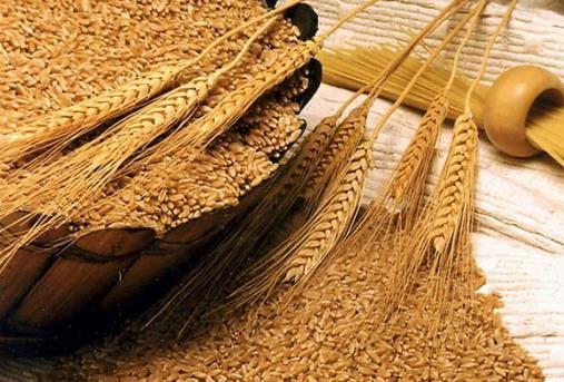 哪些食物促進(jìn)消化？促進(jìn)消化的常見食物有什么