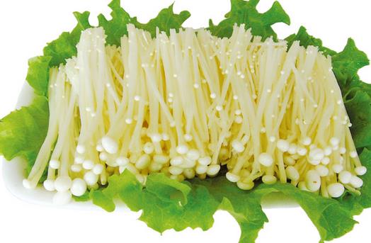 正確認(rèn)識毛囊炎 毛囊炎傳染嗎？