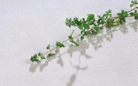 藥妝品有什么功能？用藥妝會(huì)產(chǎn)生抗藥性嗎？