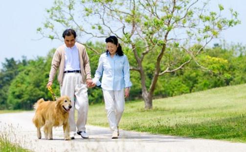 脾胃濕熱的癥狀-脾胃濕熱喝什么茶？
