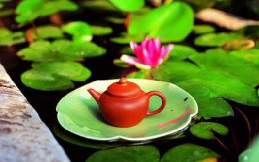 荷葉茶有什么功效-荷葉茶怎么喝效果好？