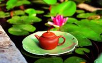 荷葉茶有什么功效-荷葉茶怎么喝效果好？
