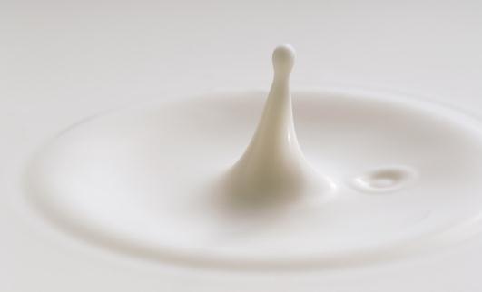 牛奶除了喝還有什么妙用？牛奶能修復(fù)裂痕