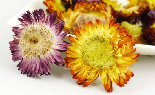 菊花美容養(yǎng)顏-菊花怎么吃最好？