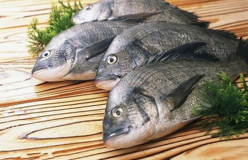 魚的哪些部位比較有營養(yǎng)？洗魚有什么技巧？
