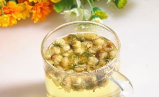菊花茶怎么飲用好？哪些人不宜喝菊花茶？