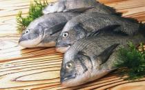 魚的哪些部位比較有營養(yǎng)？洗魚有什么技巧？