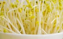 黃豆芽和綠豆芽哪個營養(yǎng)價值更高？